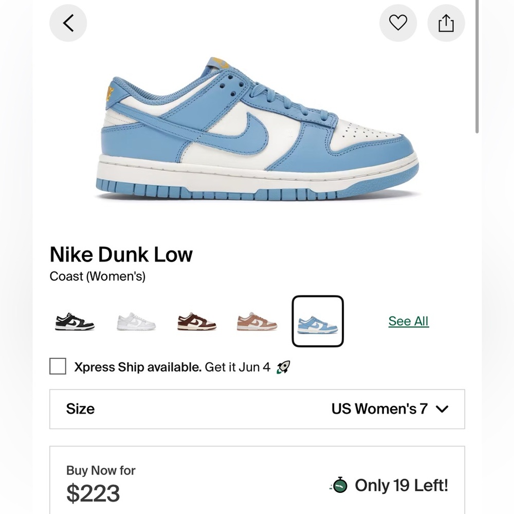 Nike Women’s Dunk Low Coast